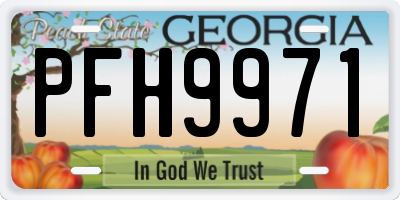 GA license plate PFH9971