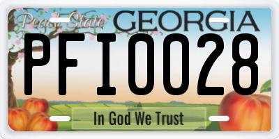 GA license plate PFI0028