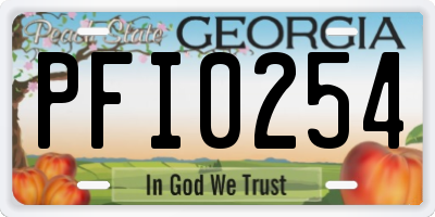 GA license plate PFI0254