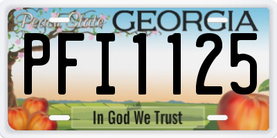 GA license plate PFI1125
