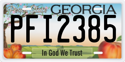 GA license plate PFI2385