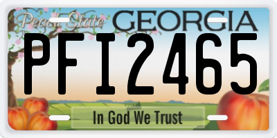 GA license plate PFI2465