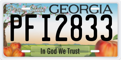 GA license plate PFI2833