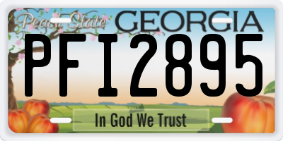 GA license plate PFI2895
