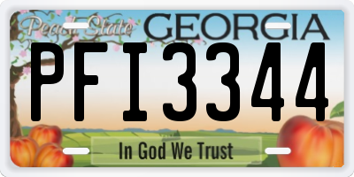 GA license plate PFI3344
