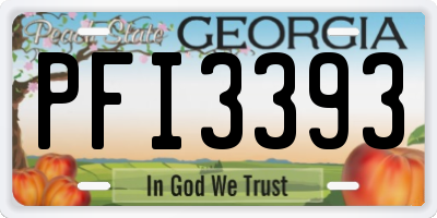 GA license plate PFI3393