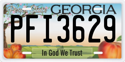 GA license plate PFI3629