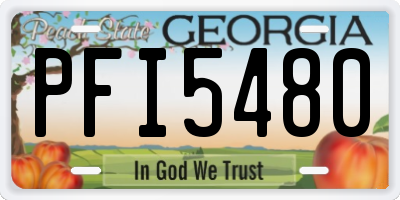 GA license plate PFI5480
