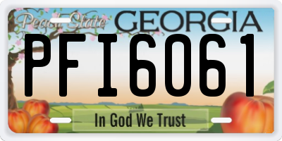 GA license plate PFI6061