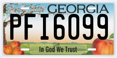 GA license plate PFI6099