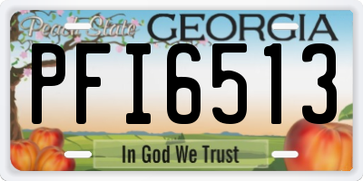 GA license plate PFI6513