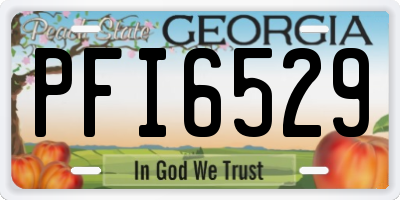 GA license plate PFI6529