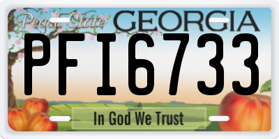 GA license plate PFI6733