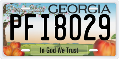 GA license plate PFI8029
