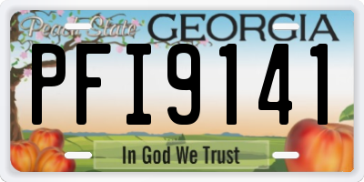 GA license plate PFI9141