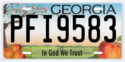 GA license plate PFI9583
