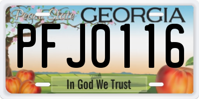 GA license plate PFJ0116