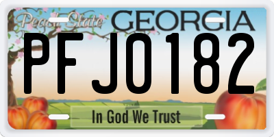 GA license plate PFJ0182