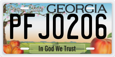 GA license plate PFJ0206