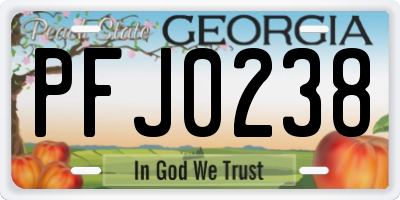 GA license plate PFJ0238