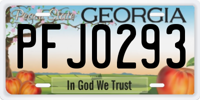GA license plate PFJ0293