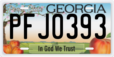 GA license plate PFJ0393