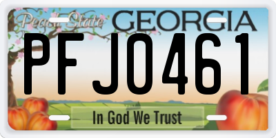 GA license plate PFJ0461