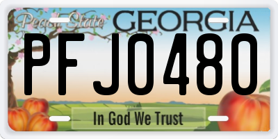 GA license plate PFJ0480