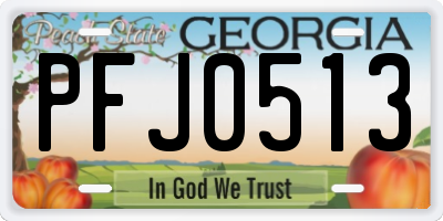 GA license plate PFJ0513