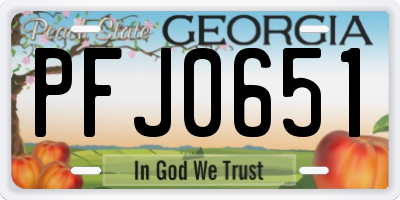 GA license plate PFJ0651