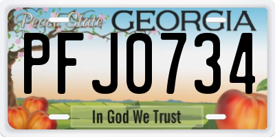 GA license plate PFJ0734