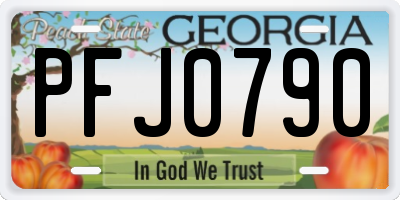 GA license plate PFJ0790
