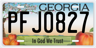 GA license plate PFJ0827