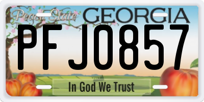 GA license plate PFJ0857