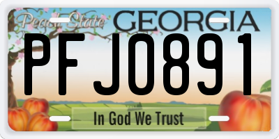 GA license plate PFJ0891