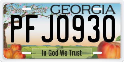 GA license plate PFJ0930