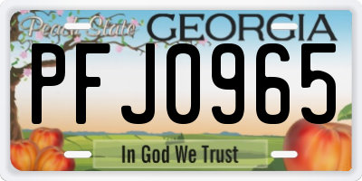 GA license plate PFJ0965