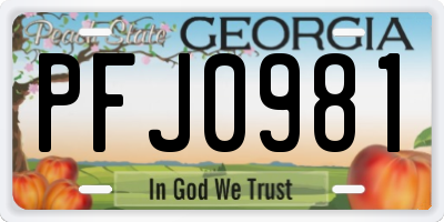 GA license plate PFJ0981