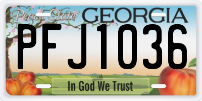 GA license plate PFJ1036