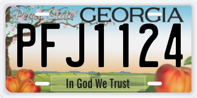 GA license plate PFJ1124