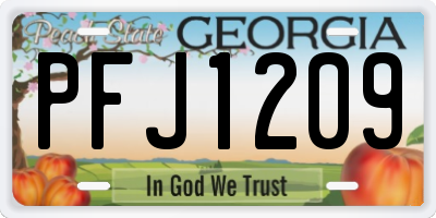 GA license plate PFJ1209