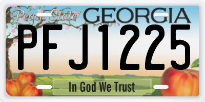 GA license plate PFJ1225
