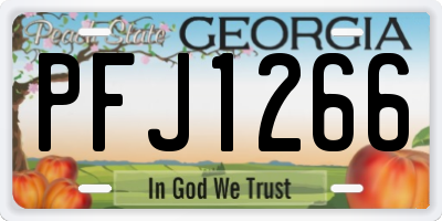 GA license plate PFJ1266
