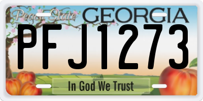 GA license plate PFJ1273