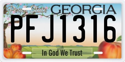 GA license plate PFJ1316