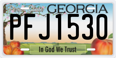 GA license plate PFJ1530