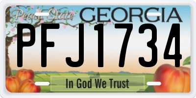 GA license plate PFJ1734