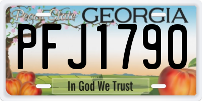 GA license plate PFJ1790
