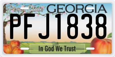 GA license plate PFJ1838