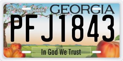 GA license plate PFJ1843